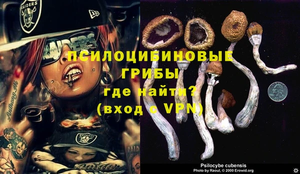 эйфоретик Алзамай