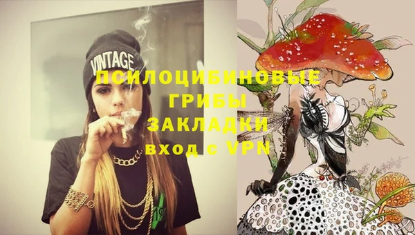 молекула духа Краснослободск