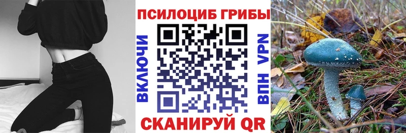 Галлюциногенные грибы Magic Shrooms  Кукмор 
